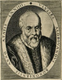 Aldrovandi (1522-1605) <br />Source : Ornithologiae (1599)