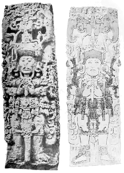 Fig. 19.The front of Stela B (famous for the
realistic representations of the Indian elephant at its upper corners),
one of the ancient Maya monuments at Copan, Central America (after
Maudslay's photograph and diagram).
The girdle of the chief figure is decorated both with shells (Oliva or
Conus) and amulets representing human faces corresponding to the
Hathor-heads on the Narmer palette (Fig. 18).