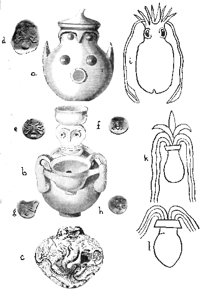 Fig. 24.
(a) and (b) Two Mycenæan pots (after Schliemann).
(a) The so-called "owl-shaped" vase is really a representation of the
Mother-Pot in the form of a conventionalized Octopus (Houssay).
(b) The other vase represents the Octopus Mother-Pot, with a jar upon
her head and another in her handsa three-fold representation of the
Great Mother as a pot.
(c) A Cretan vase from Gournia in which the Octopus-motive is
represented as a decoration upon the pot instead of in its form.
(d), (e), (f), (g), and (h) A series of coins from Central
Greece (after Head) showing a series of conventionalizations of the
Octopus, with its pot-like body and palm-tree-like arms (f).
(i) Sepia officinalis (after Tryon).
(k) and (l) The so-called "spouting vases" in the hands of the
Babylonian god Ea, from a cylinder seal of the time of Gudea, Patesi of
Tello, after Ward ("Seal Cylinders, etc.," p. 215).
The "spouting vases" have been placed in conjunction with the Sepia to
suggest the possibility of confusion with a conventionalized drawing of
the latter in the blending of the symbolism of the water-jar and
cephalopods in Western Asia and the Mediterranean.