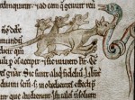 <em>Bodleian Library, MS. Douce 167, Folio 8r </em><br />A basilisk is attacked by a weasel, the only animal that can kill it.