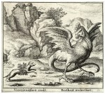    .   , XVII  <br />The Basilisk and the Weasel by Wenceslas Hollar, c.17th century.